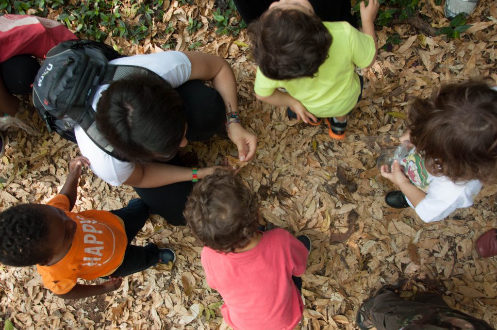 Ser Criança é Natural é uma iniciativa voltada para a facilitação da aprendizagem e conexão com a natureza.